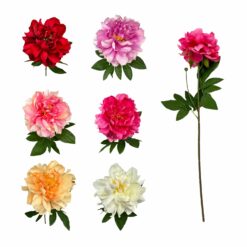 TIGE DE PIVOINE - 65 cm