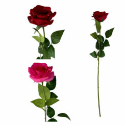 TIGE DE ROSE TOUCHER NATUREL - 57CM