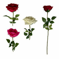 TIGE DE ROSE TOUCHER NATUREL - 61CM