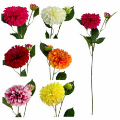 TIGE DE ZINNIA - 64CM