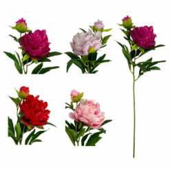 TIGE DE PIVOINE - 68CM