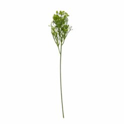 TIGE DE GYPSOPHILE, VERT - 50CM