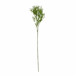 TIGE DE GYPSOPHILE, BLANC - 50CM