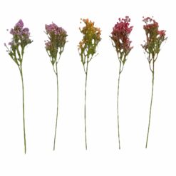 TIGE DE GYPSOPHILE, COULEUR - 50CM