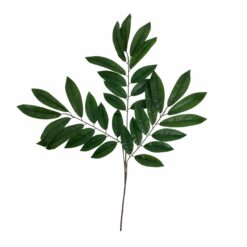 BRANCHE D'ACACIA 70X65CM