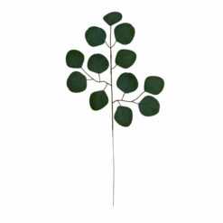 BRANCHE d'EUCALYPTUS - 51CM