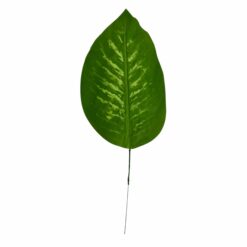 FEUILLE DE POTHOS - 48CM