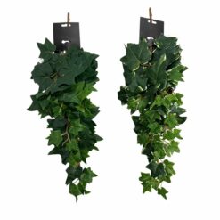 CHUTE DE LIERRE- 63CM