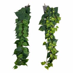 CHUTE DE POTHOS - 90CM