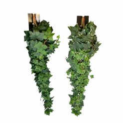 CHUTE DE POTHOS - 120CM