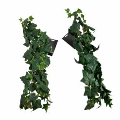 GUIRLANDE DE LIERRE - 2M