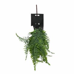 FOUGERE BRANCHES - 45CM