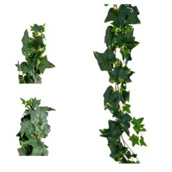 GUIRLANDE DE LIERRE - 2M