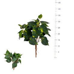 BOUQUET DE POTHOS - 35CM