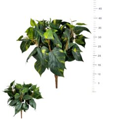 BOUQUET DE POTHOS - 40CM