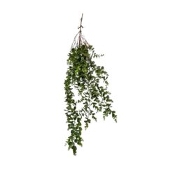 CHUTE D'EUCALYPTUS - 103CM