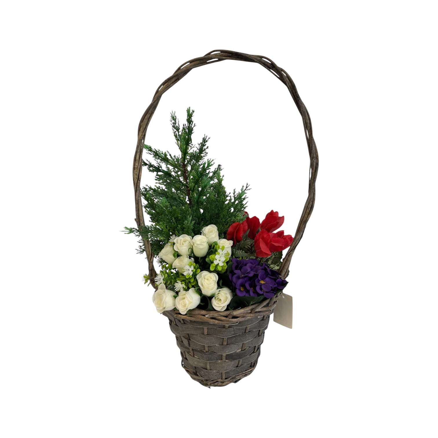 Photoroom_005_20251014_134547