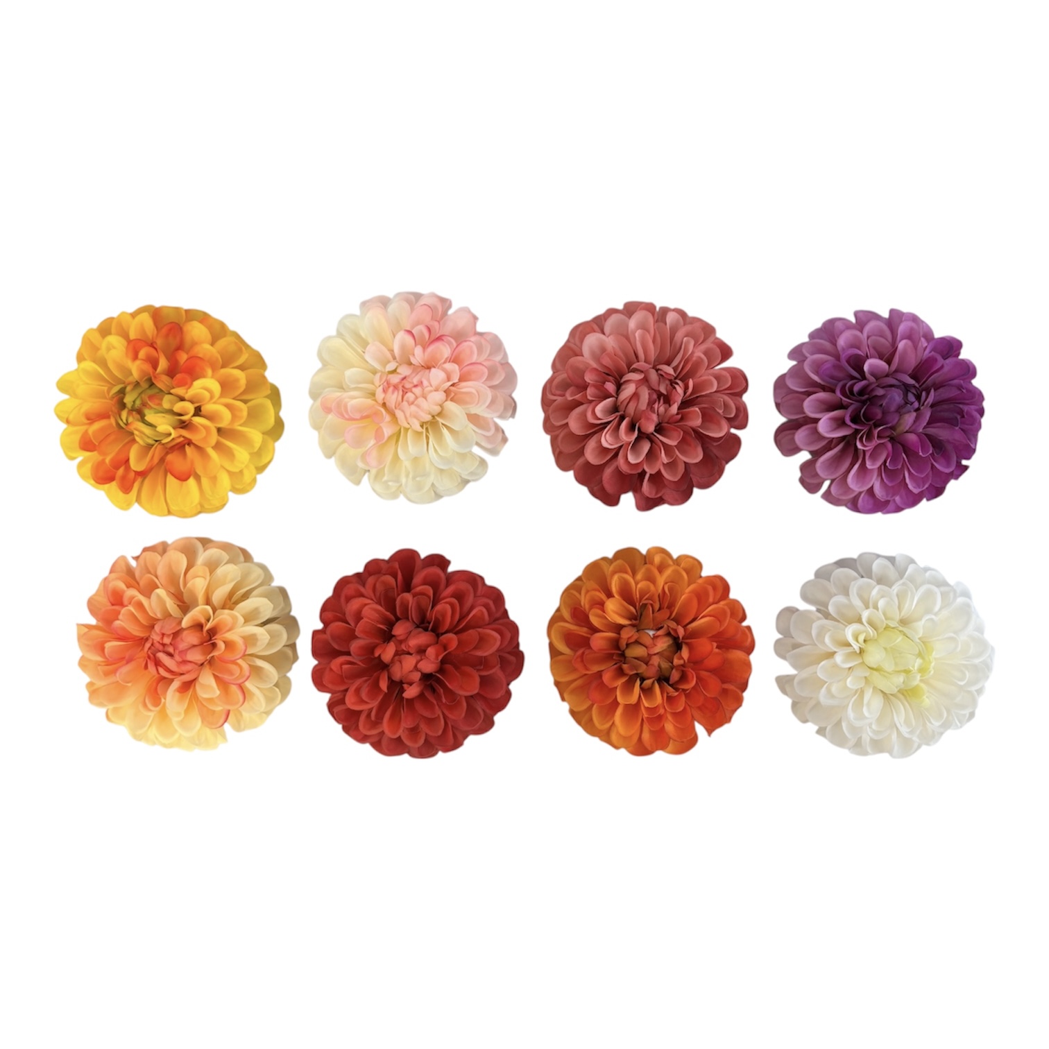 Photoroom_20251013_151336