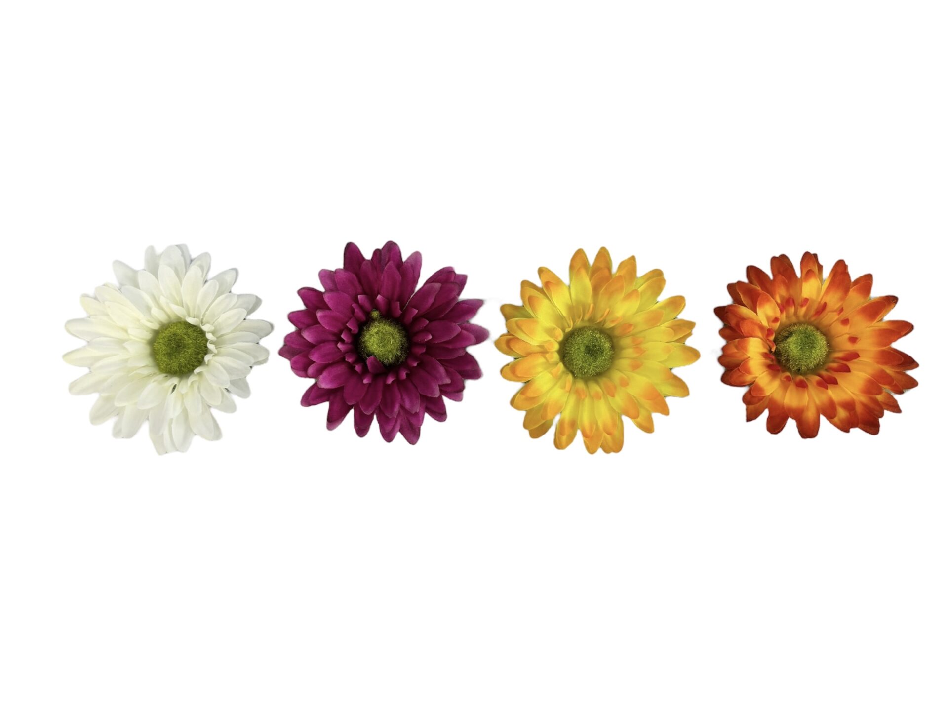 Photoroom_20251013_151526