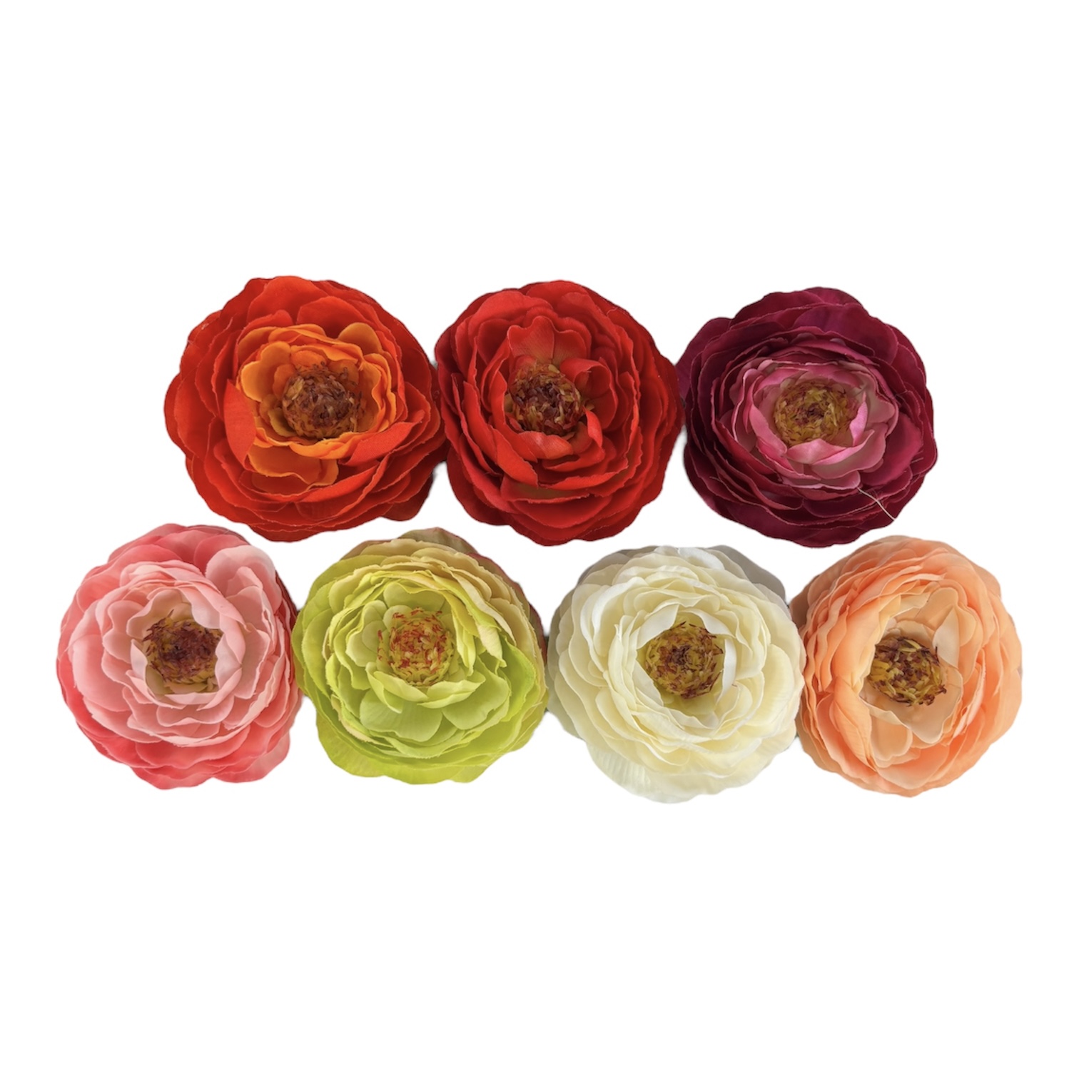 Photoroom_20251013_151714