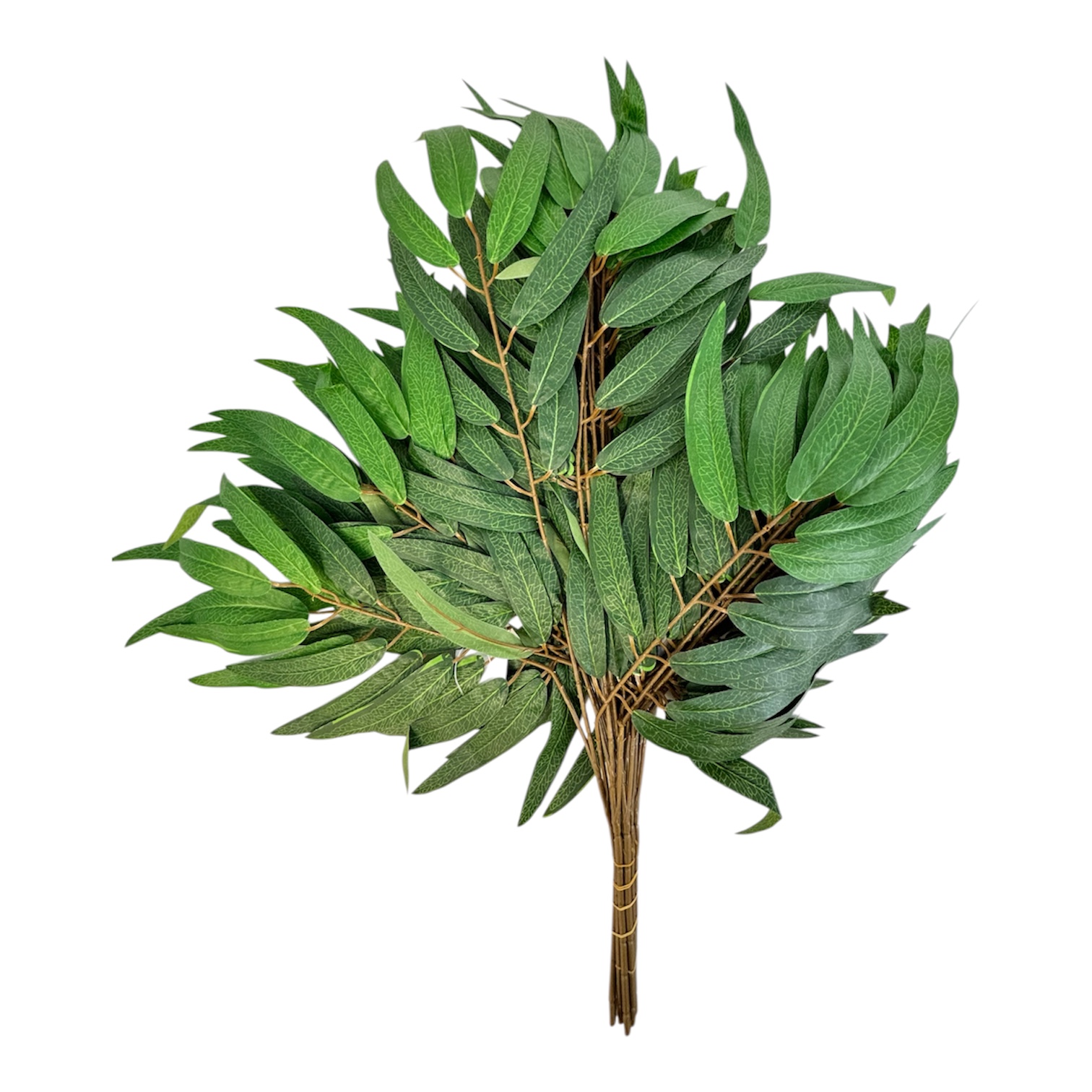 Photoroom_20251013_151809