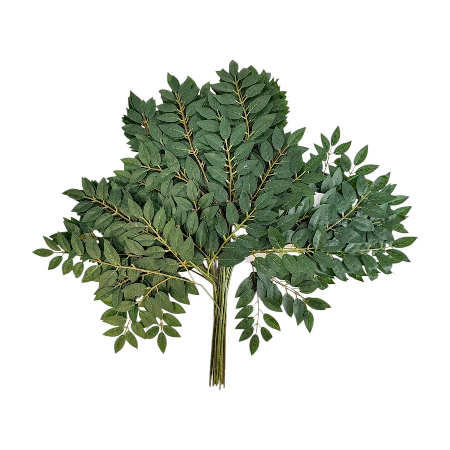 Photoroom_20251013_151900