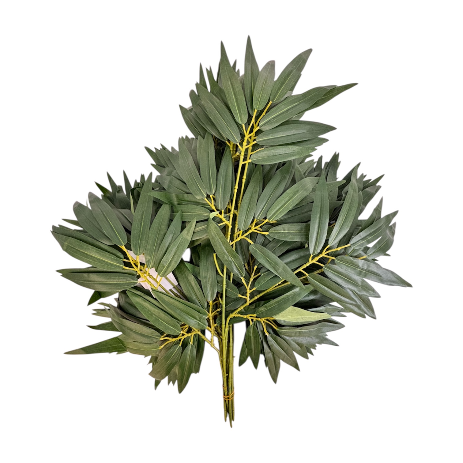 Photoroom_20251013_151935