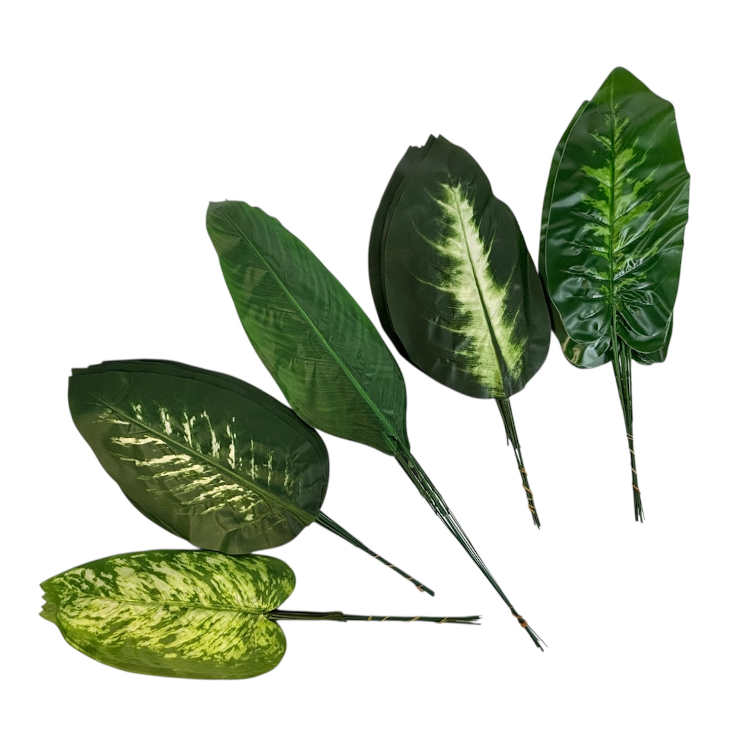 Photoroom_20251013_152010