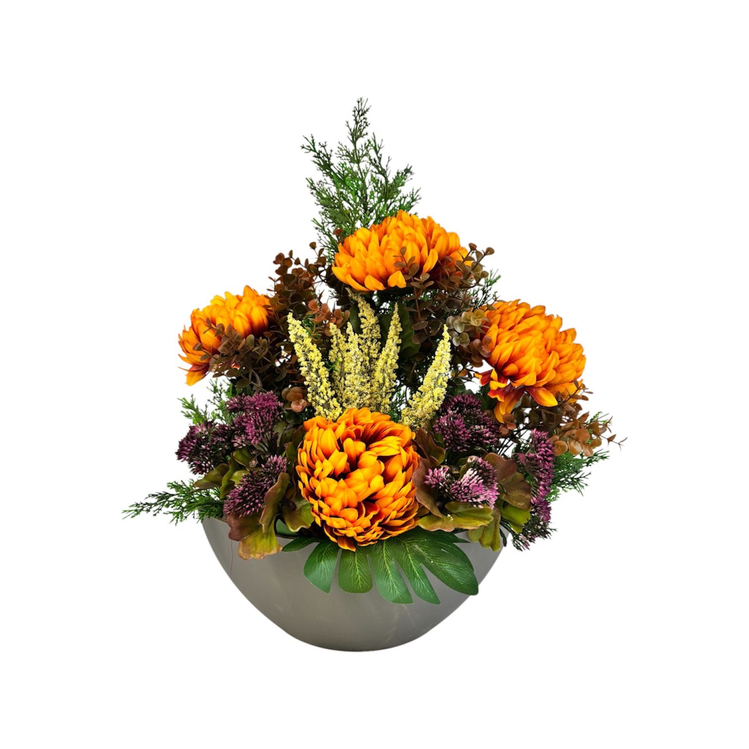 Photoroom_20251013_155447