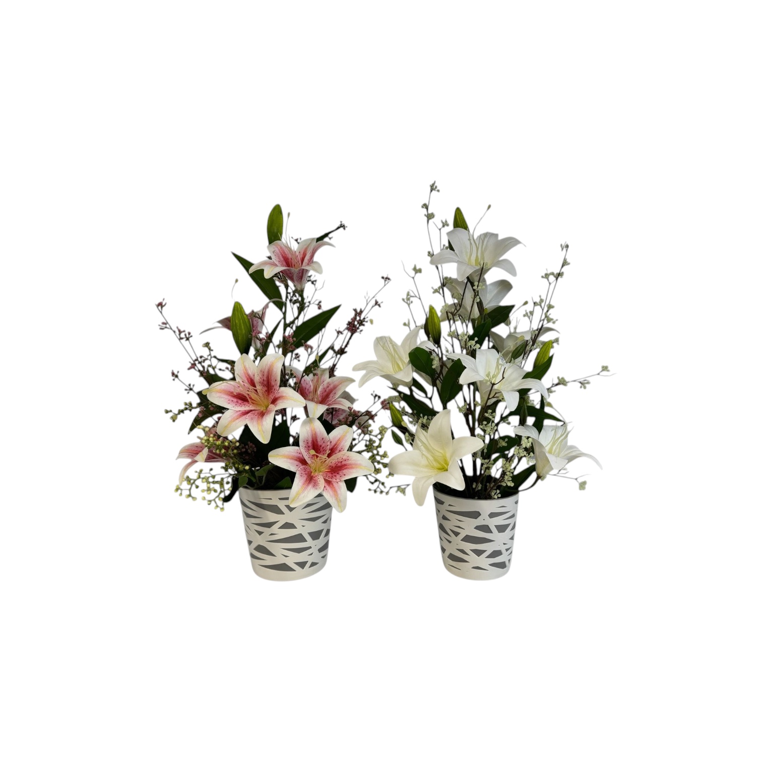 WhatsApp Image 2025-10-14 at 17.03.48 (4)