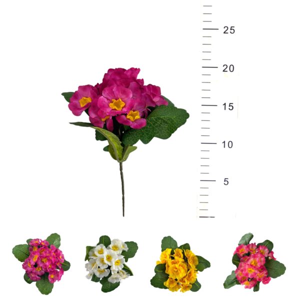 Bouquet de primevères