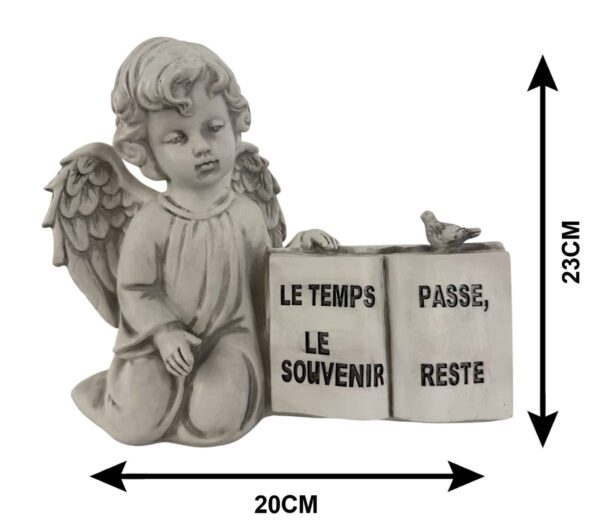 ANGE ASSIS AVEC LIVRE ET TEXTE 23*20CM
