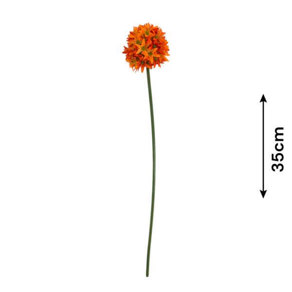 TIGE DE MONTAGE ALLIUM ORANGE