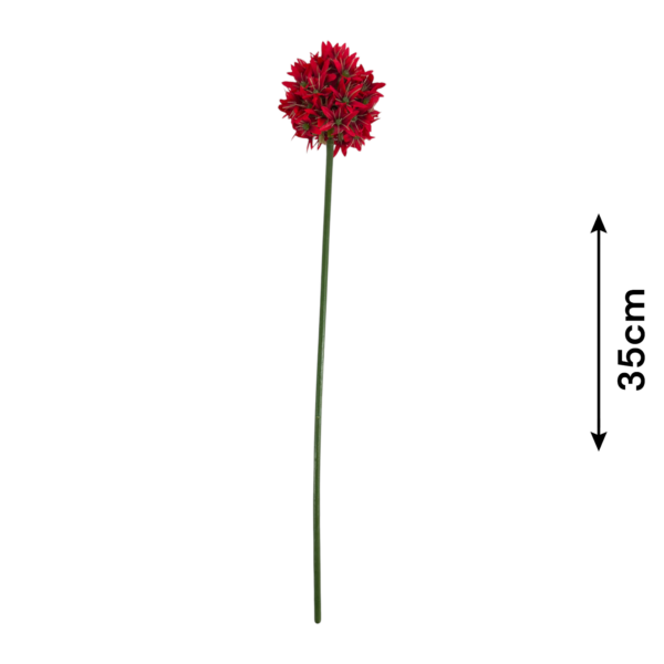TIGE DE MONTAGE ALLIUM ROUGE