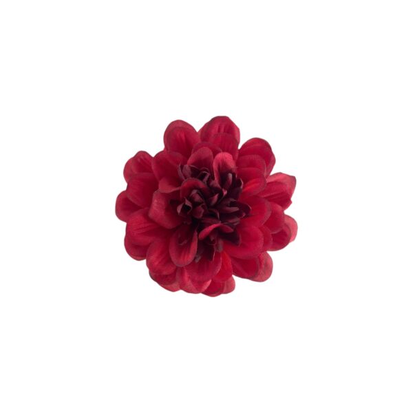 TIGE DE ZINNIA