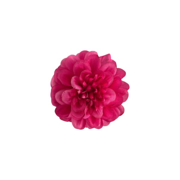 TIGE DE ZINNIA