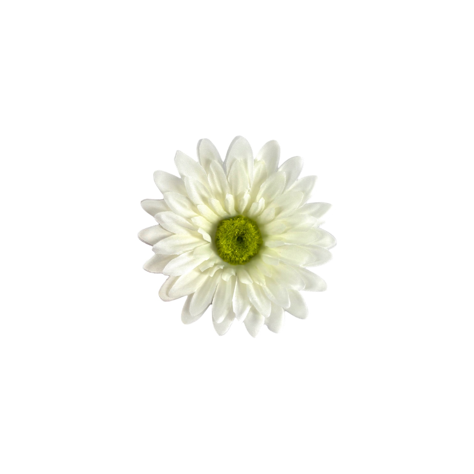 TÊTE DE GERBERAS
