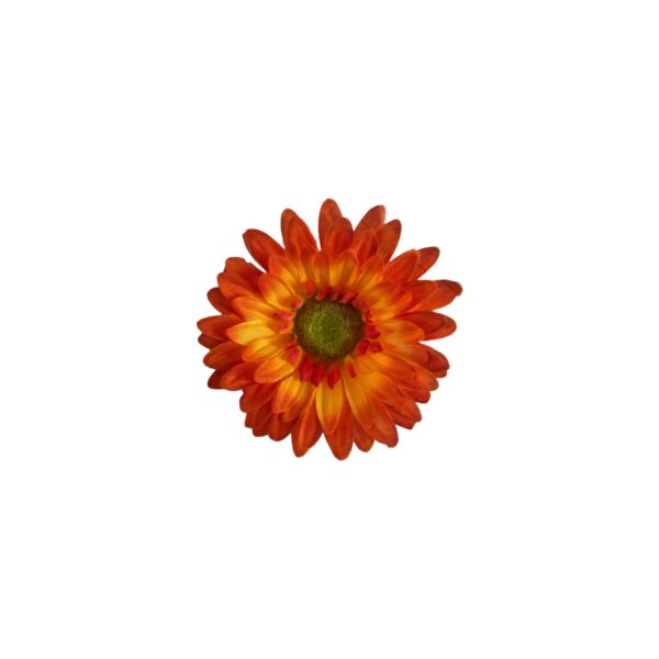 TÊTE DE GERBERAS