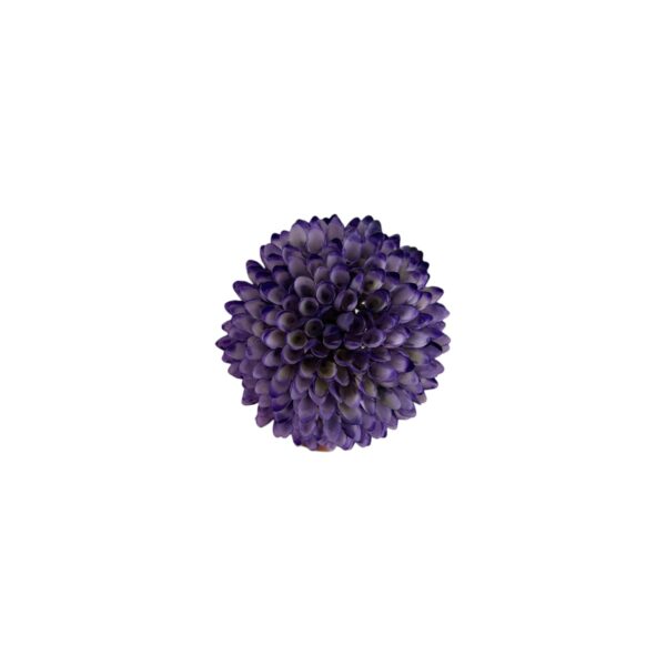 TÊTE DE DAHLIA