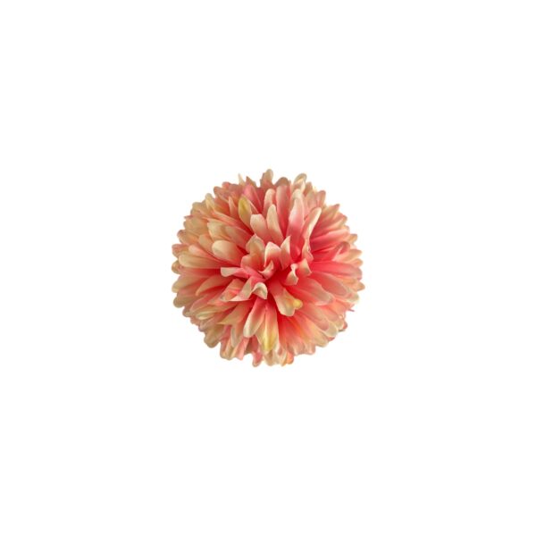 TÊTE DE CHRYSANTHÈME