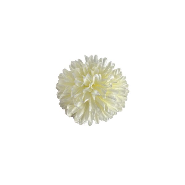 TÊTE DE CHRYSANTHÈME