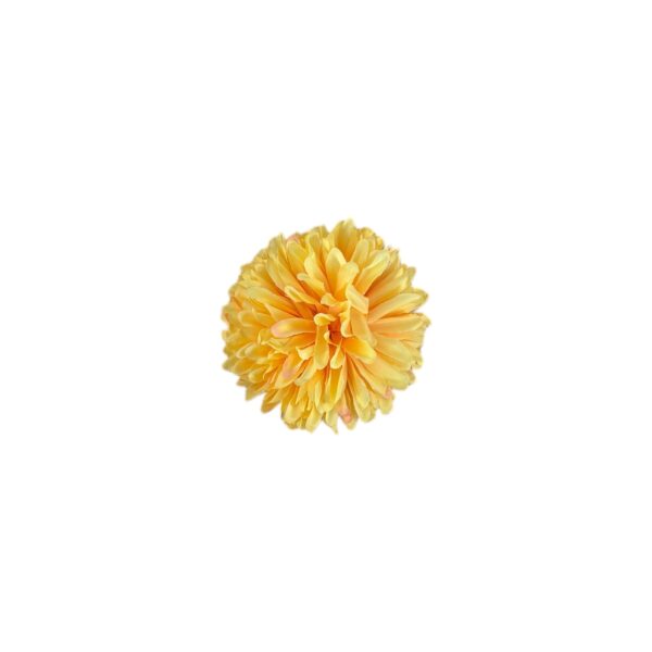 TÊTE DE CHRYSANTHÈME