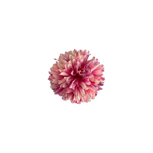 TÊTE DE CHRYSANTHÈME