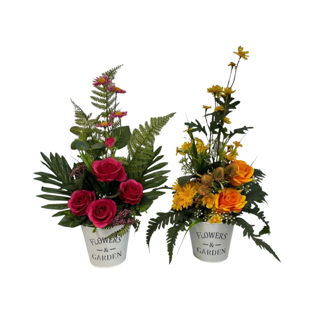 Photoroom_006_20251014_134547