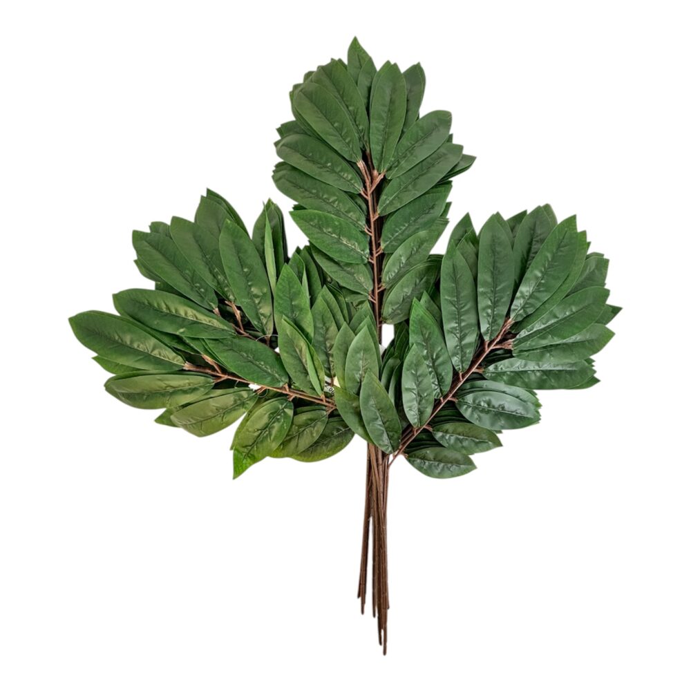 Photoroom_20251013_151739