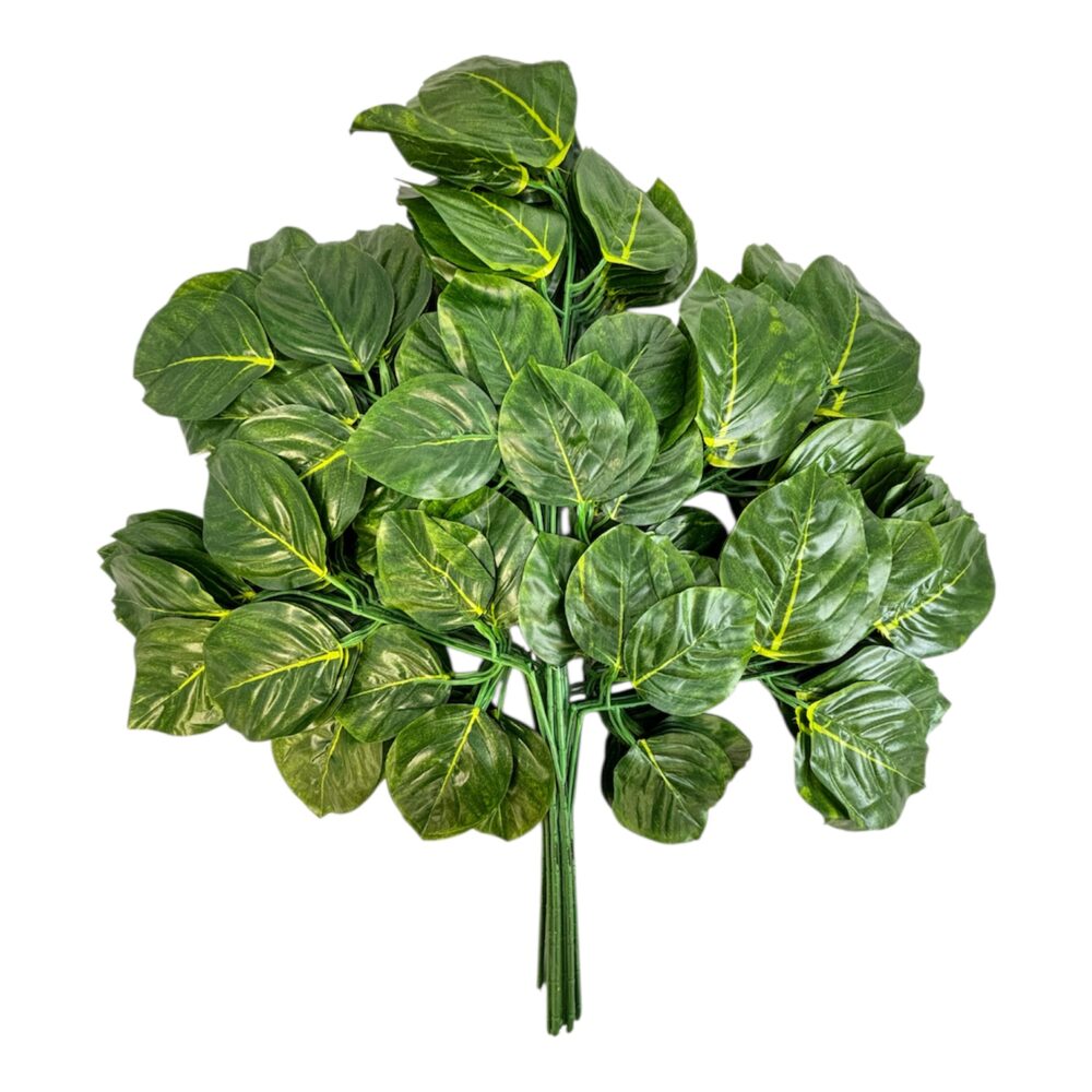 Photoroom_20251013_151754