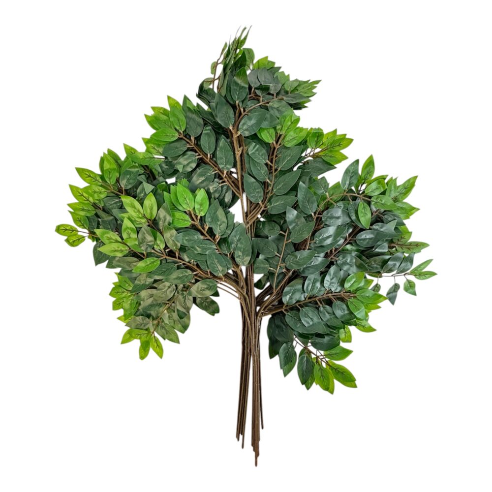 Photoroom_20251013_151830