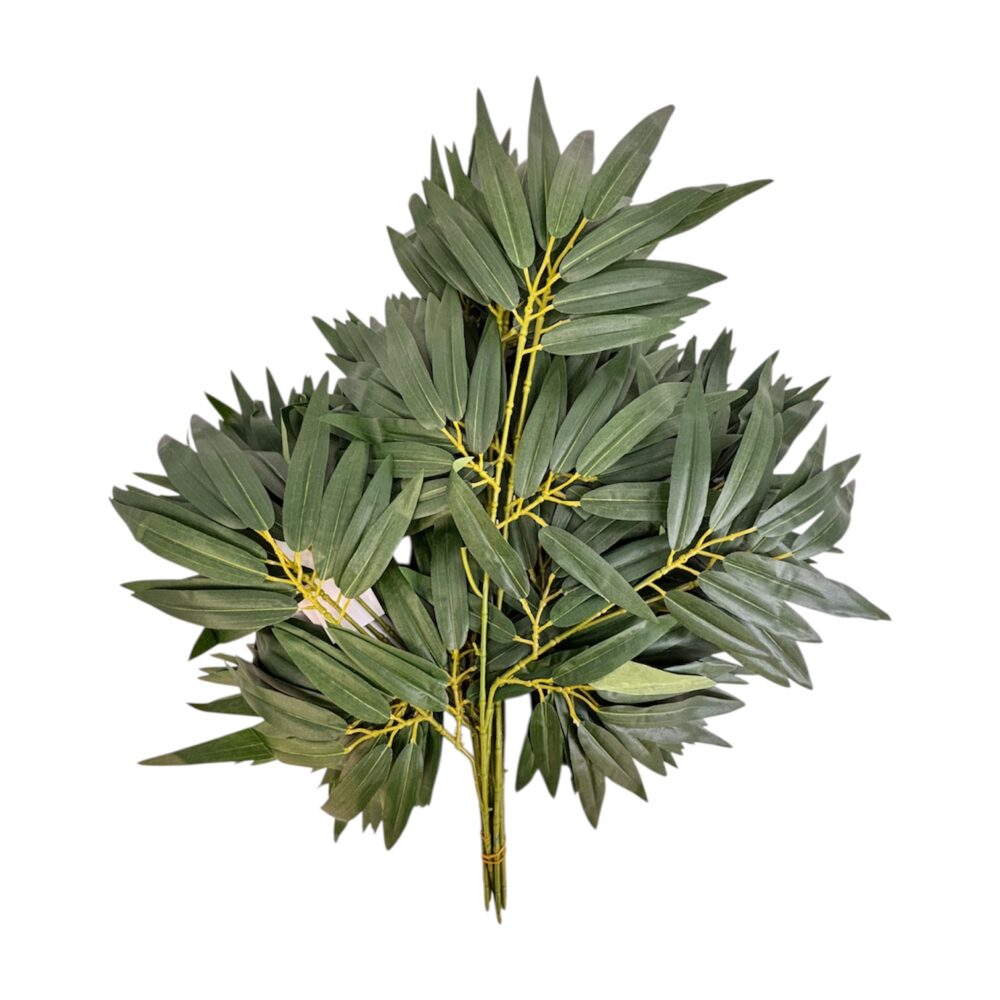 Photoroom_20251013_151935