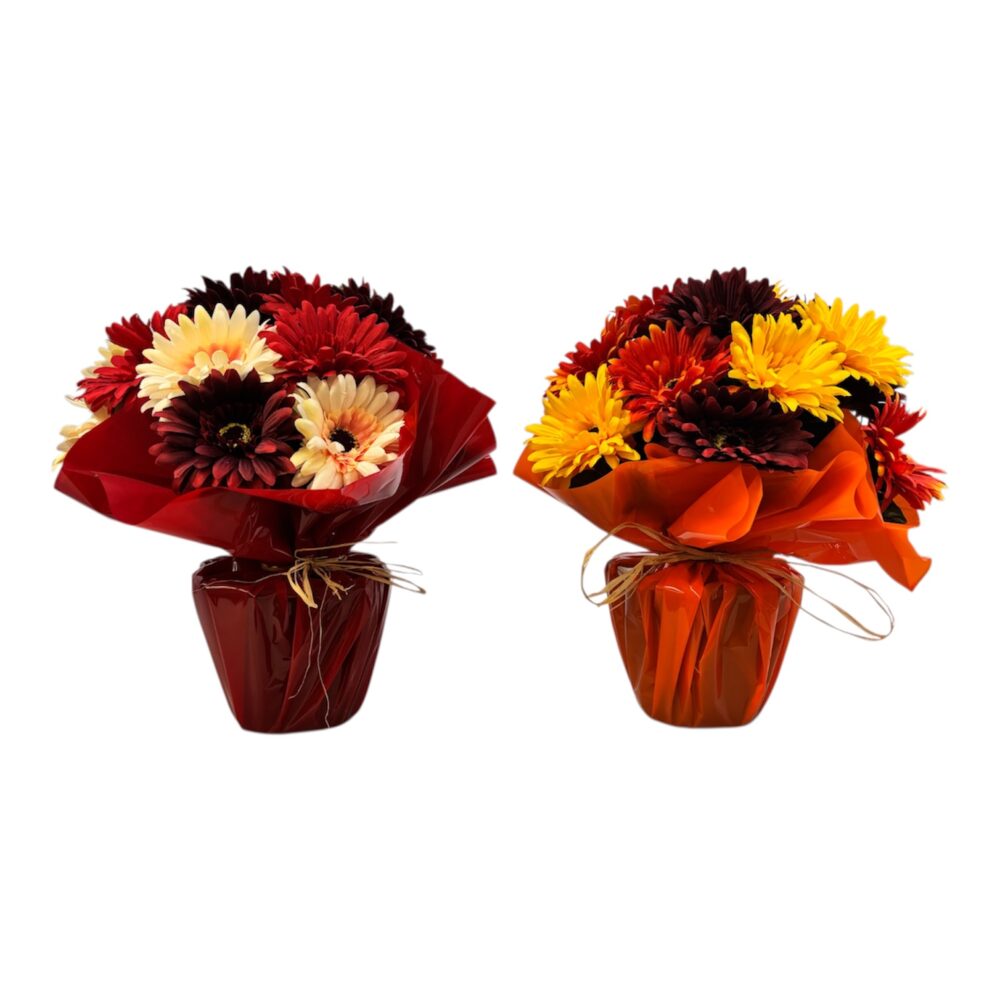 Photoroom_20251013_164343