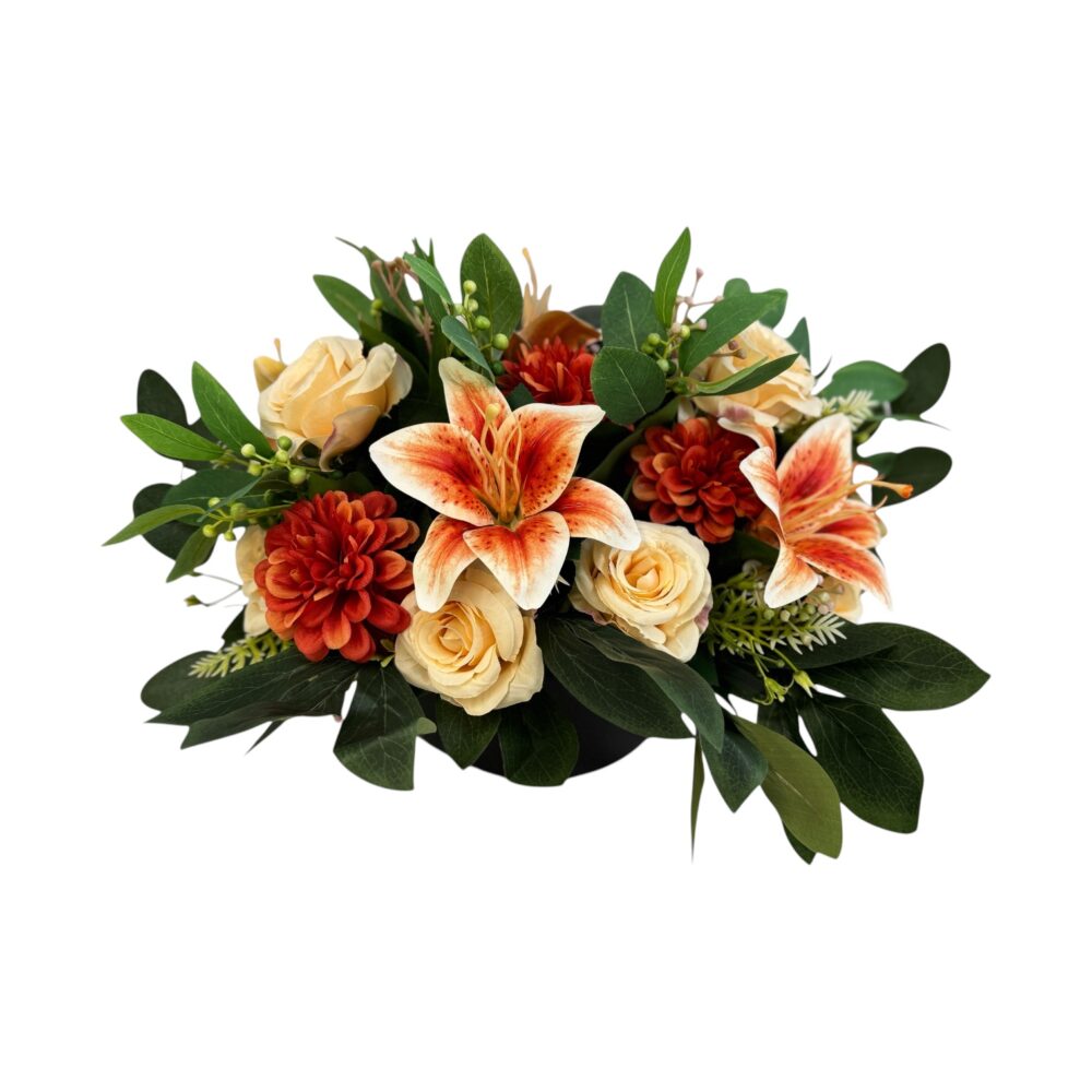 Photoroom_20251014_134152